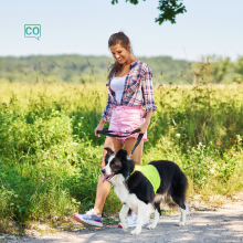  Wandelen (spazierengehen) - Verbkonjugation und Übungen